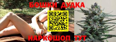 скорость Дубна