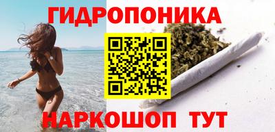 скорость Дубна