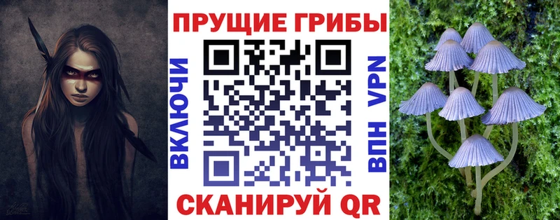 нарко площадка какой сайт  закладки  Чебаркуль  Галлюциногенные грибы Psilocybe 
